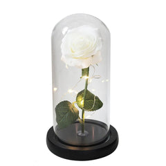 Galaxy Rose Artificial Flower (Beauty and the Beast Rose LED Light) - Festive Fancies