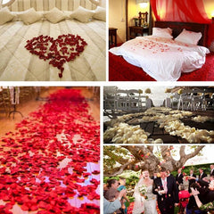 Heart Petals Confetti for Wedding Toss Table Decor Photography Props (100pcs) - Festive Fancies